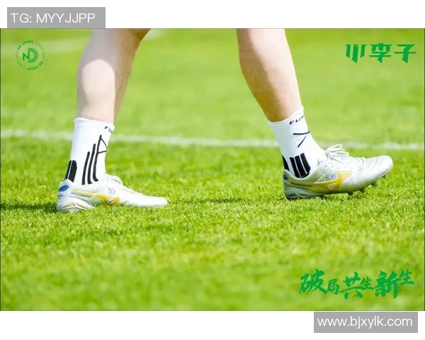 小李子足球鞋的魅力与性能解析让你在球场上尽显风采 小李子足球鞋的魅力与性能解析让你在球场上尽显风采