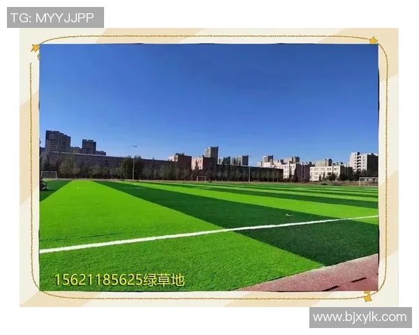 探索蓝色足球的魅力与激情：从草坪到心灵的全方位体验