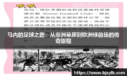 金年会